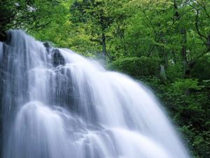 神奈川県川崎市のビジネスホテル｜東横INN武蔵中原駅前の魅力と詳細情報