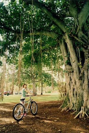 【公式情報をもとに】東横INN蒲田東口の魅力と宿泊のポイント