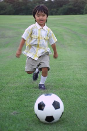 静岡市の日本料理四季：旬の食材と伝統的な味を楽しむ特別な体験