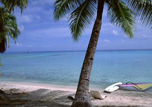 金沢の金箔体験が1200円から