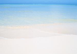 【2024年度版】東横イン千葉幕張の魅力と詳細ガイド｜快適な宿泊体験を提供するビジネスホテル