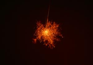 宮崎市のビジネスホテル【東横INN宮崎中央通】の魅力と詳細情報