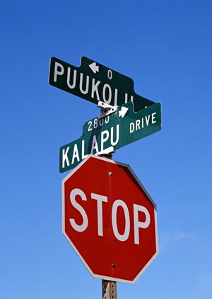 ANAの優待活用法2025年版：お得に航空券やサービスを楽しむ完全ガイド