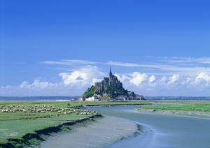 熊本市中心部の快適な滞在を実現！東横INN熊本城通町筋の魅力とポイント