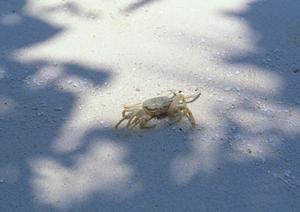 山形県米沢市のビジネスホテル「東横INN米沢駅前」完全ガイド