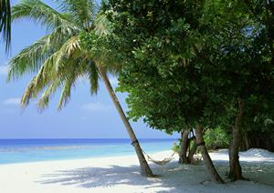 【公式】東横INN北朝霞駅西口：交通至便なビジネスホテルで快適な宿泊体験を