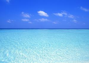 横手駅前温泉と絶品料理を堪能できる「横手駅前温泉ゆうゆうプラザ＆ホテルプラザ迎賓」の魅力