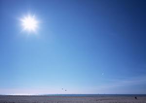 静岡のビジネスを支える中島屋グランドホテル：宿泊・レストラン・宴会の総合案内