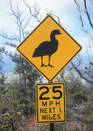 海洋レジャーなら釣堀もあるスポット